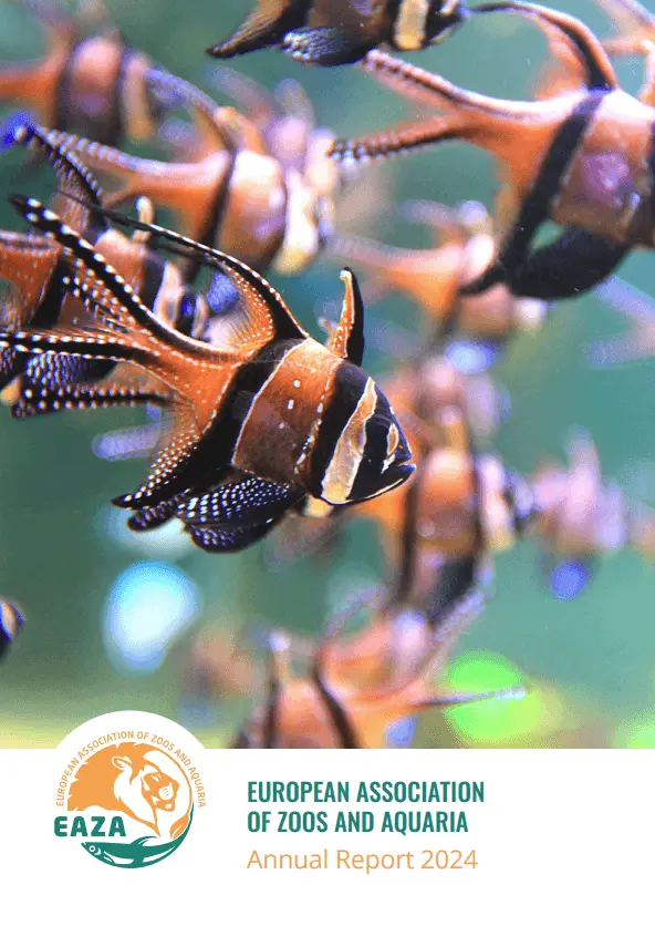 Annual Reports 2024