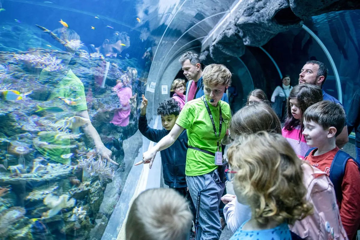 Conservation education
