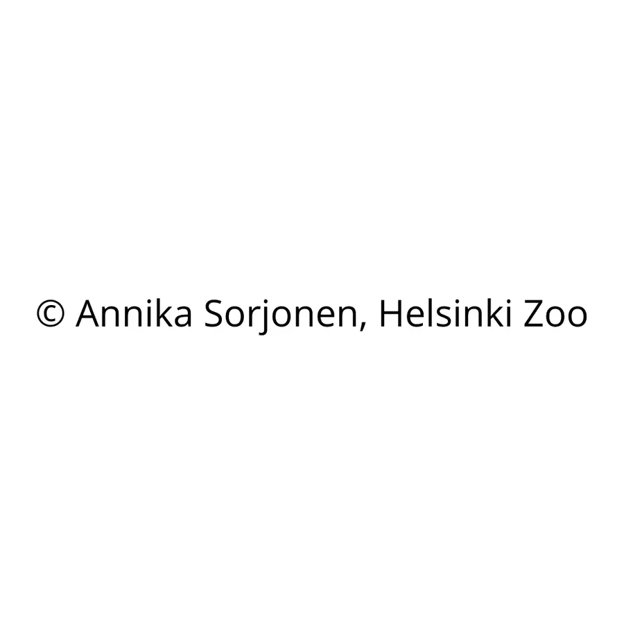 block image